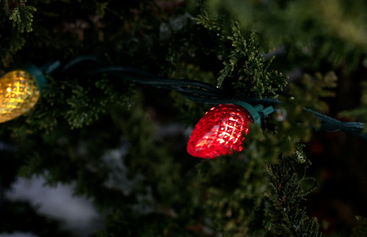 A closeup shot of a faceted red light bulb nestled into the firs of a Christmas tree.
