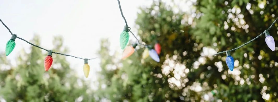 A closeup daylight view of a strand of Christmas lights in various colors, strung in the open air and connecting to a tree in the background.