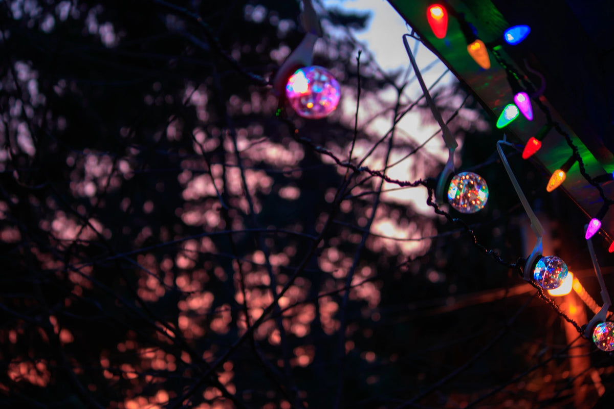 Multi-colored LED Christmas lights and globe lights hanging on a roofline, viewed from below, with towering trees against a twilight sky in the background.