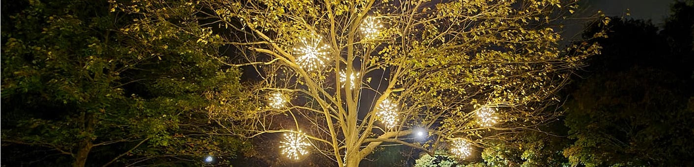 Spritzers/Radiant Blasts – Christmas Light Contractors USA