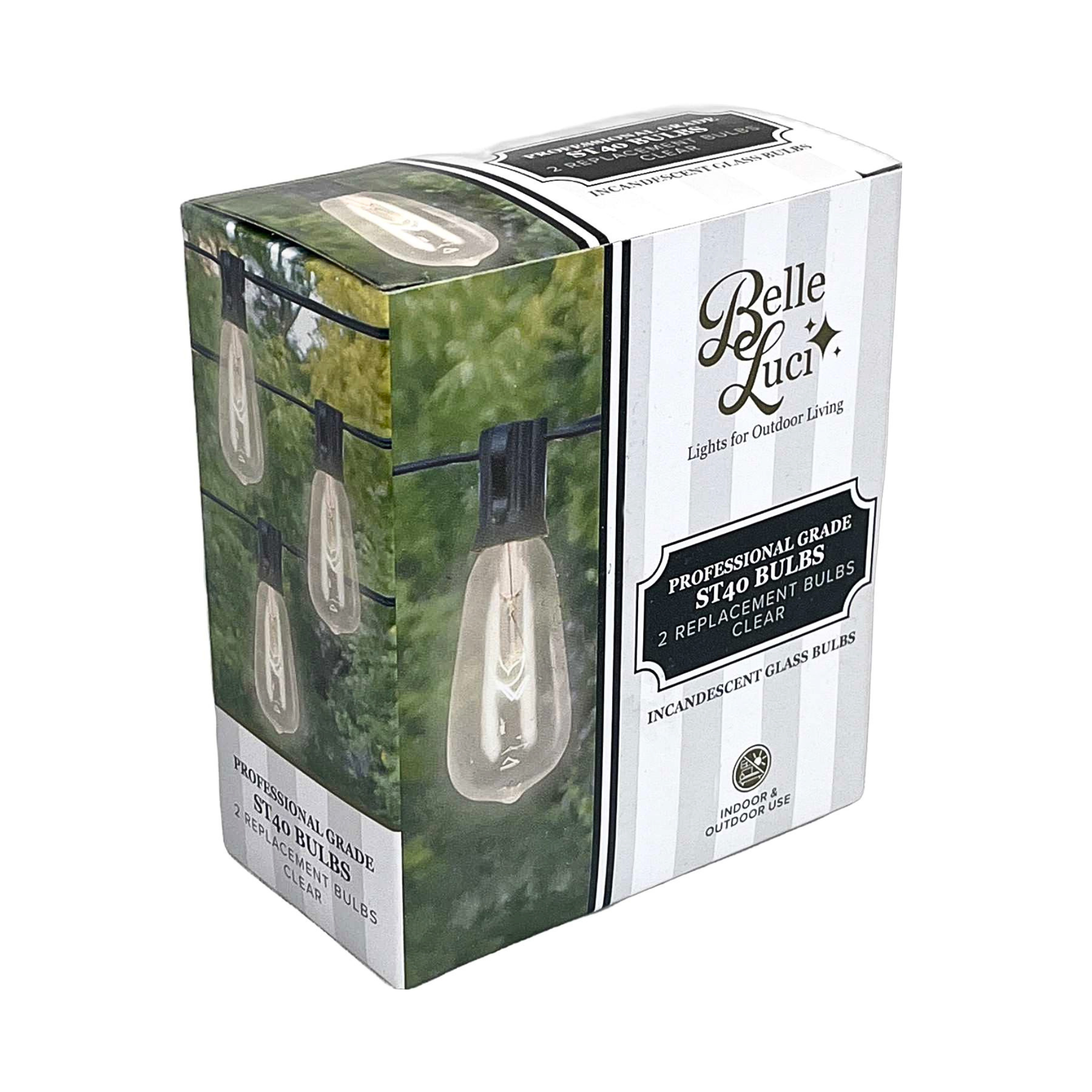 Bulbs - Belle Luci ST40 INCANDESCENT Glass Edison Bulbs E17