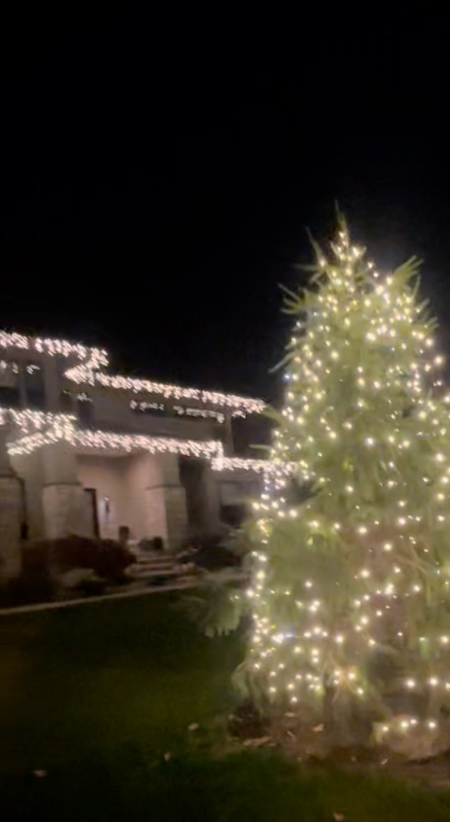 Mini Lights - Icicle Lights