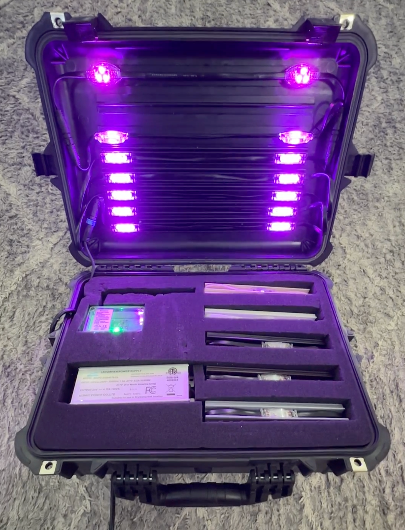 Indiana In-Person Training: Christmas & Permanent Light (Sept 26th-27th)