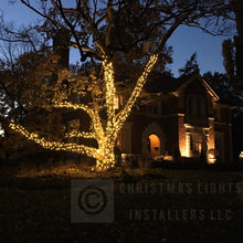 Load image into Gallery viewer, Mini Lights - S4 5mm 4&quot; spacing / 70L
