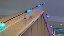 Load and play video in Gallery viewer, Minleon Permanent Lighting RGBW: C9 Bulbs 4 pin (15 inch spacing)
