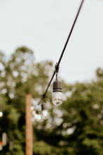 Load image into Gallery viewer, Suspended Socket E26 String Lights- 48ft Section with Male and Female ends (pack of 2)

